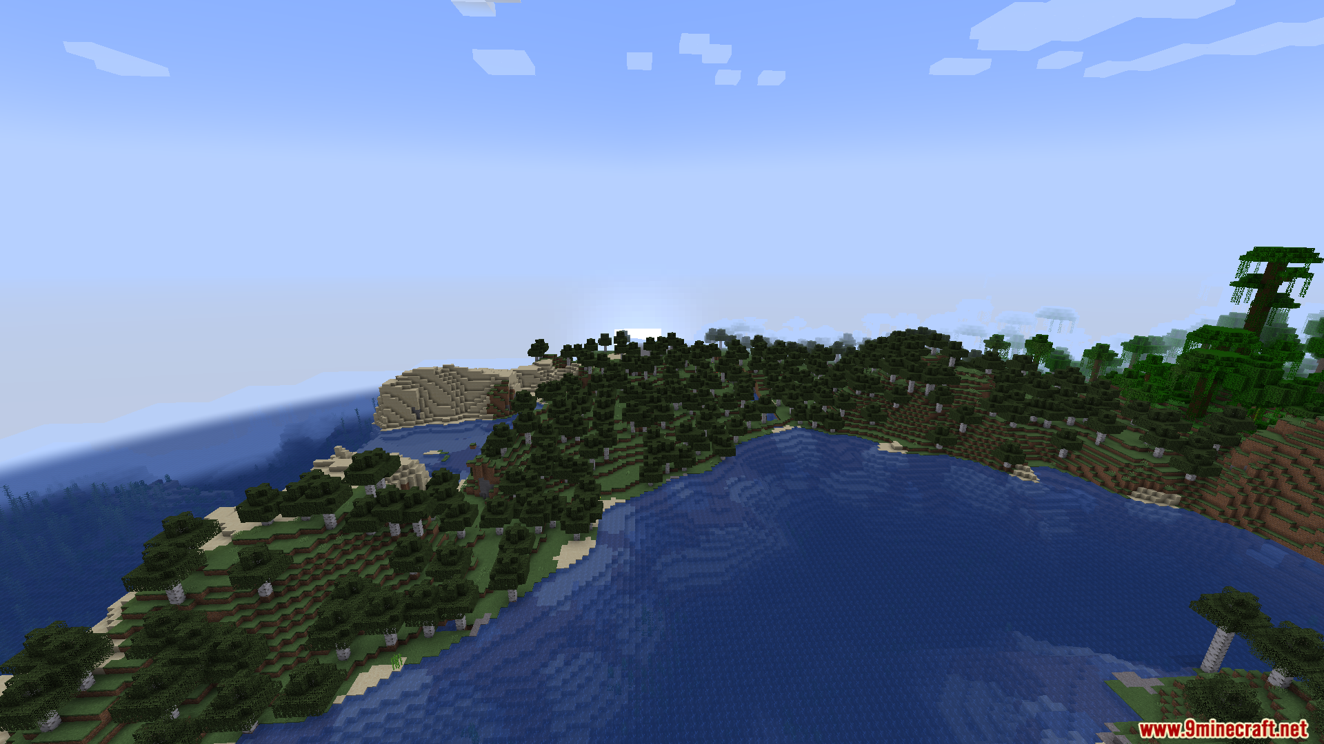 DLC Manager Mod Screenshot 10 A wide view of a birch forest biome bordering an ocean