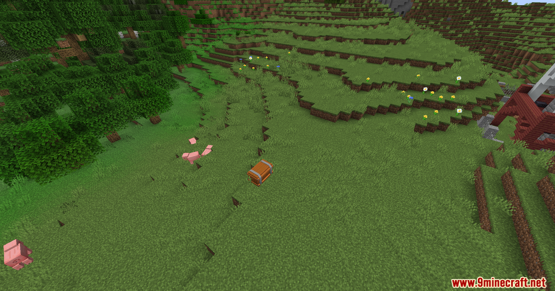 A supply chest has landed in a field with pigs