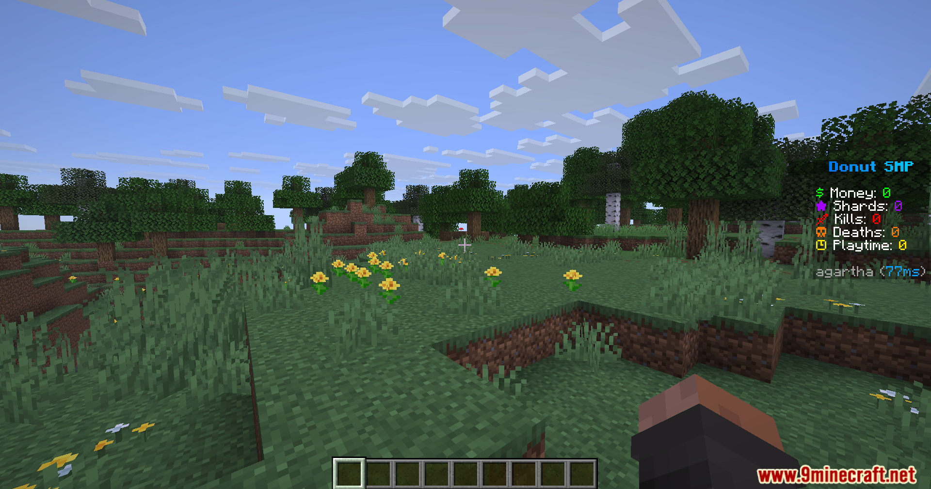 Minecraft gameplay showing a custom Donut SMP scoreboard on the right side