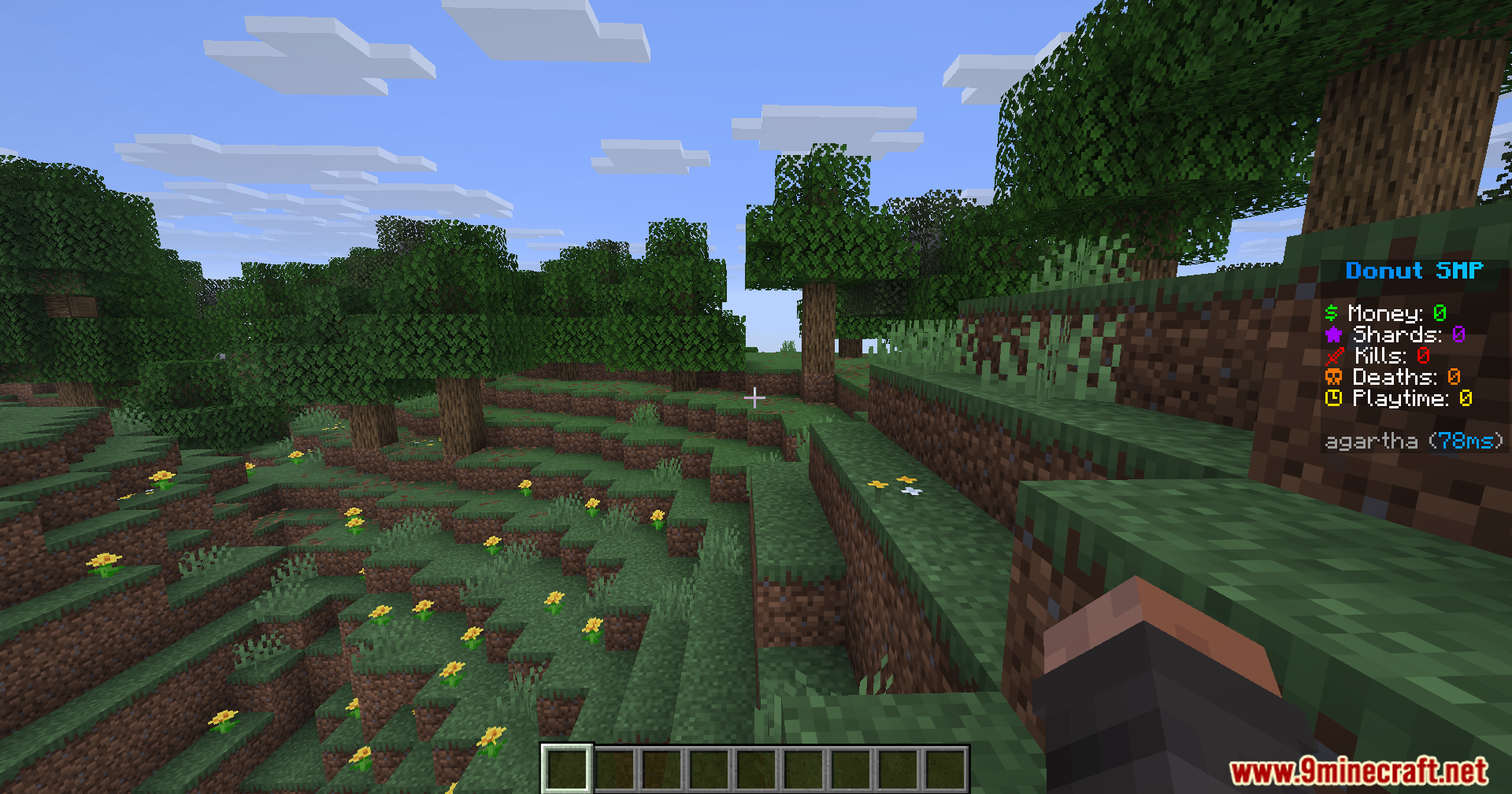 Viewing the customizable server scoreboard while standing on a grassy hill