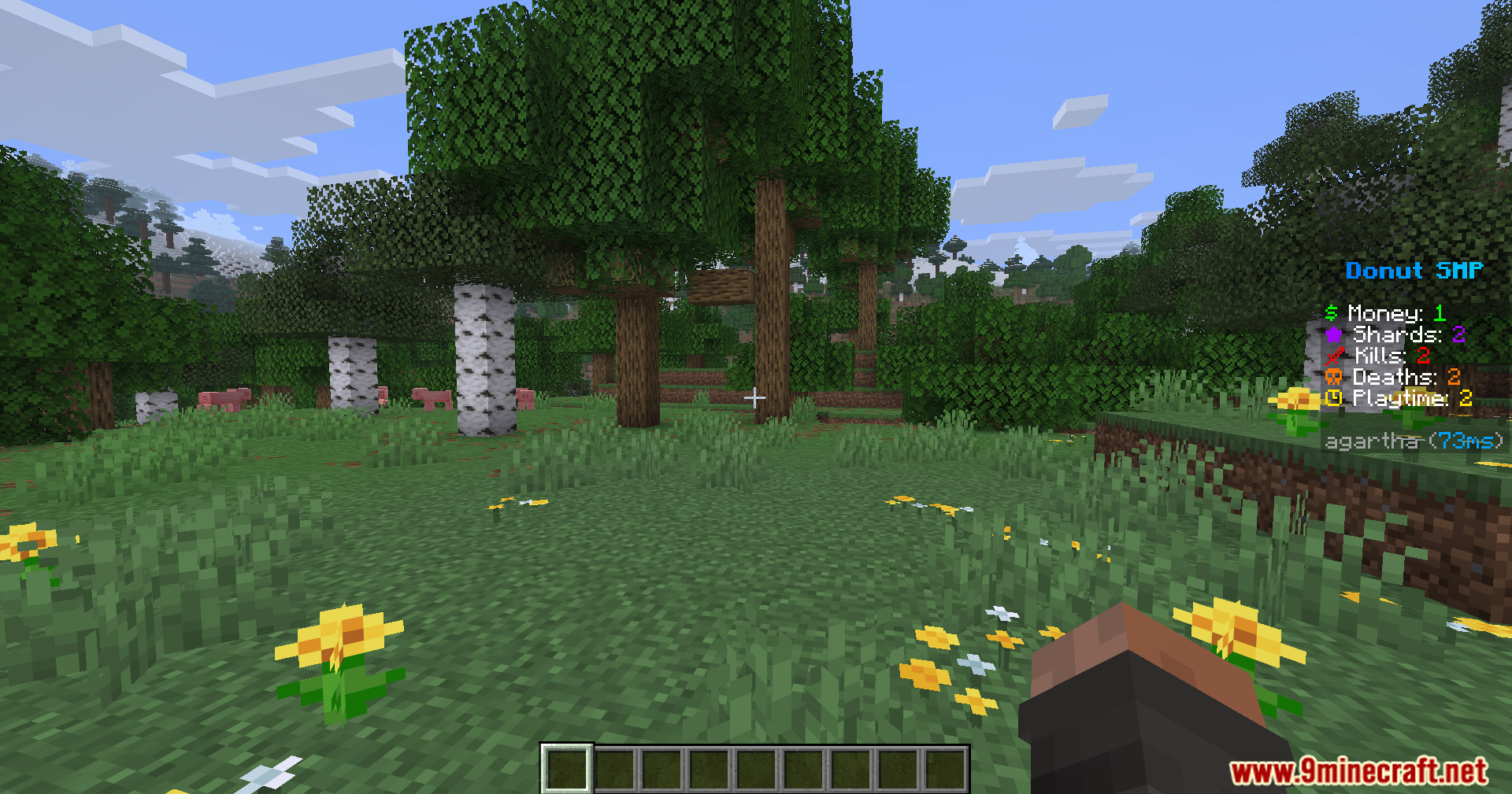 A player stands in a forest biome with a scoreboard displayed