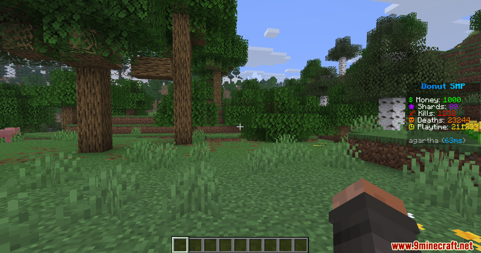 A player stands in a forest biome with a scoreboard displayed