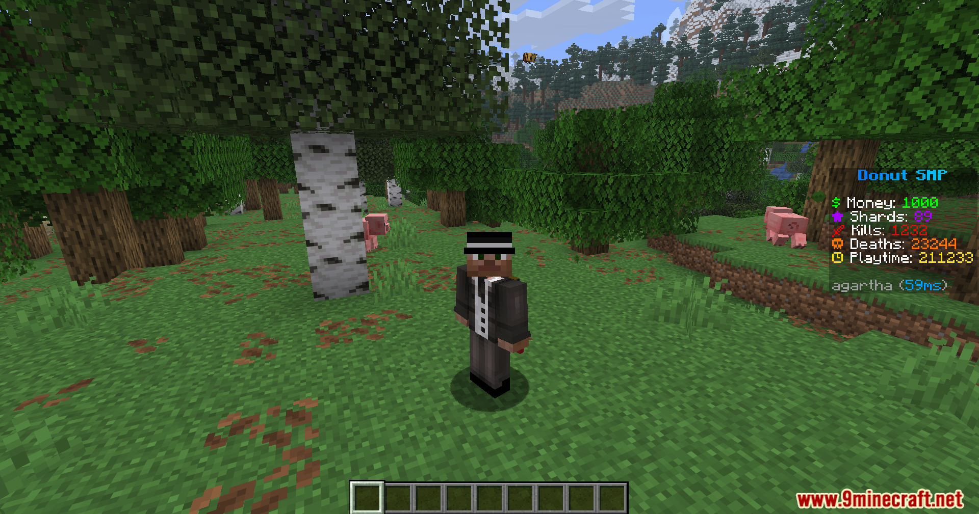 Player standing in a forest showing the custom Donut SMP scoreboard on screen