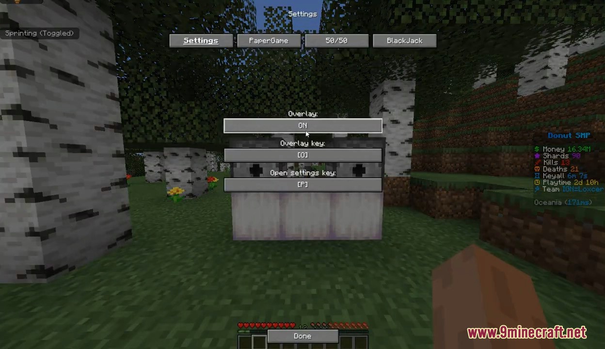 Donutsmp Gamble Rigger Mod Screenshot 1 Player viewing the main settings menu for overlay and keybinds