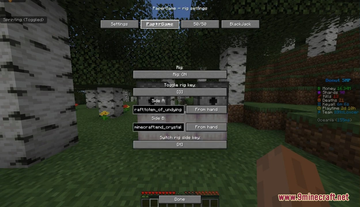 Donutsmp Gamble Rigger Mod Screenshot 2 Player configuring paper game rig settings with specific hand items