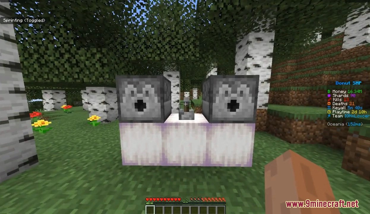 Donutsmp Gamble Rigger Mod Screenshot 5 Player looking at two dispensers on purpur blocks
