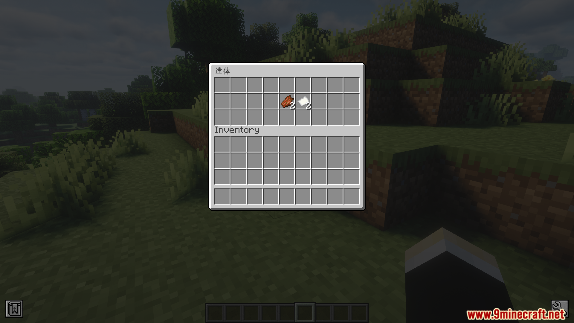 Finding leather and paper inside a lootable body's inventory
