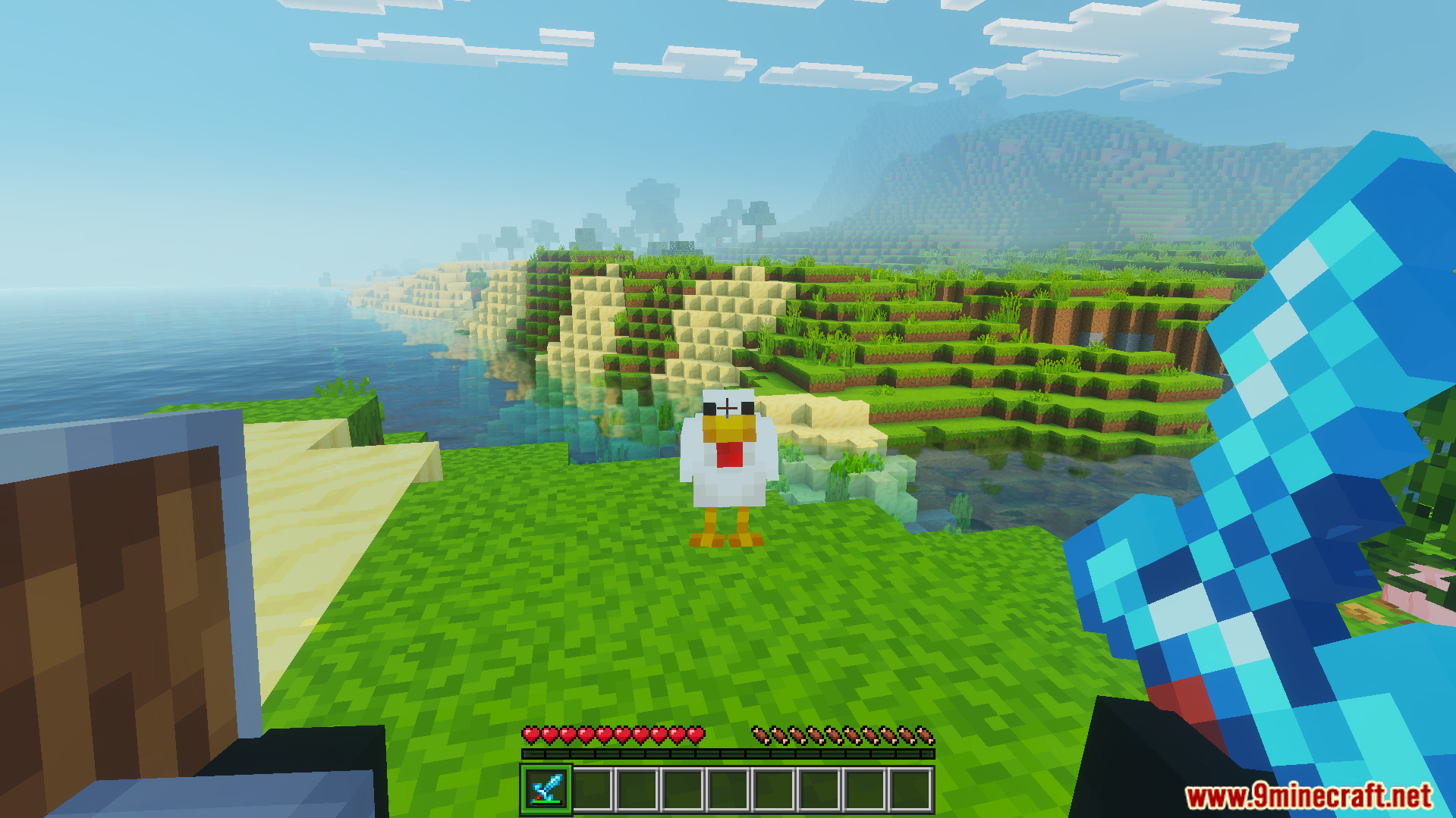 DoubleHands Addon Screenshot 3 First person view holding shield in offhand and diamond sword in right hand