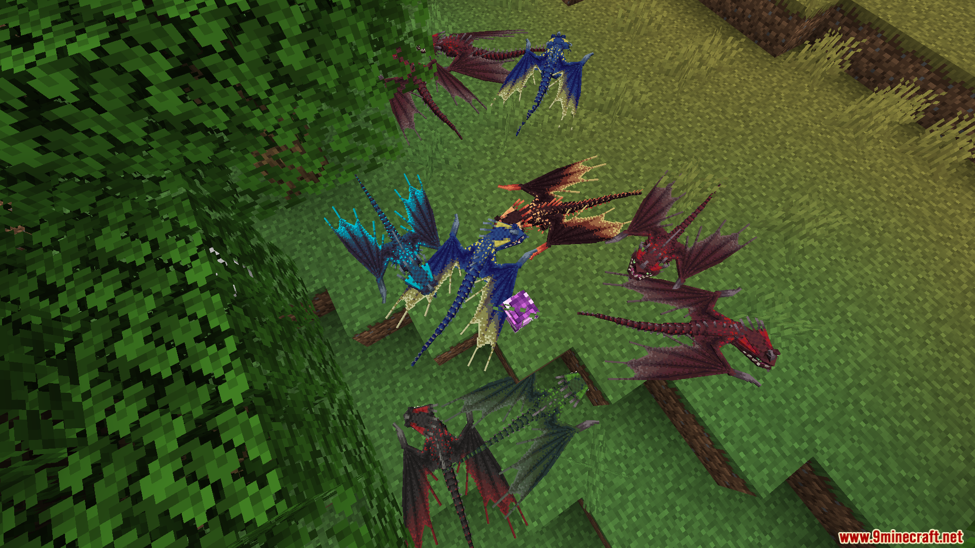 Several colorful dragons resting on grassy terrain near trees