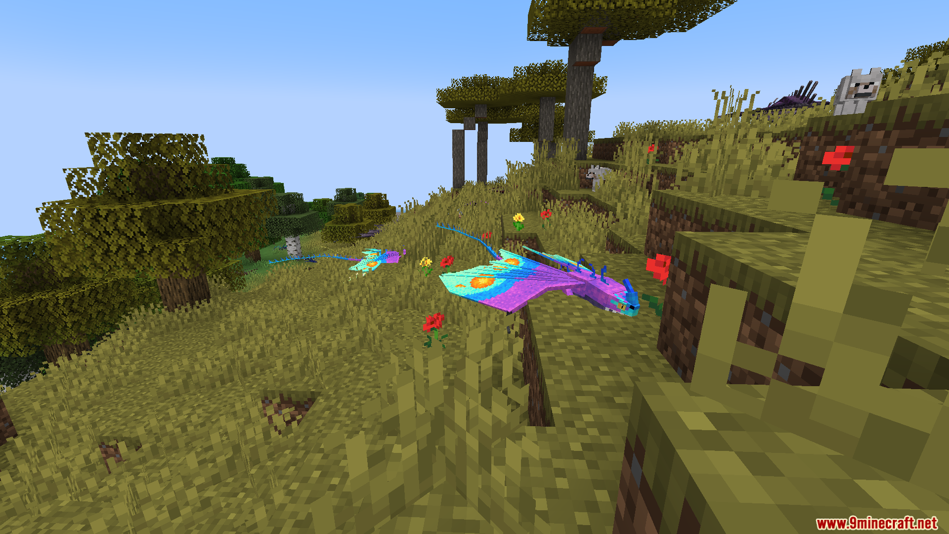 Two brightly colored custom dragons flying low over a grassy savanna biome