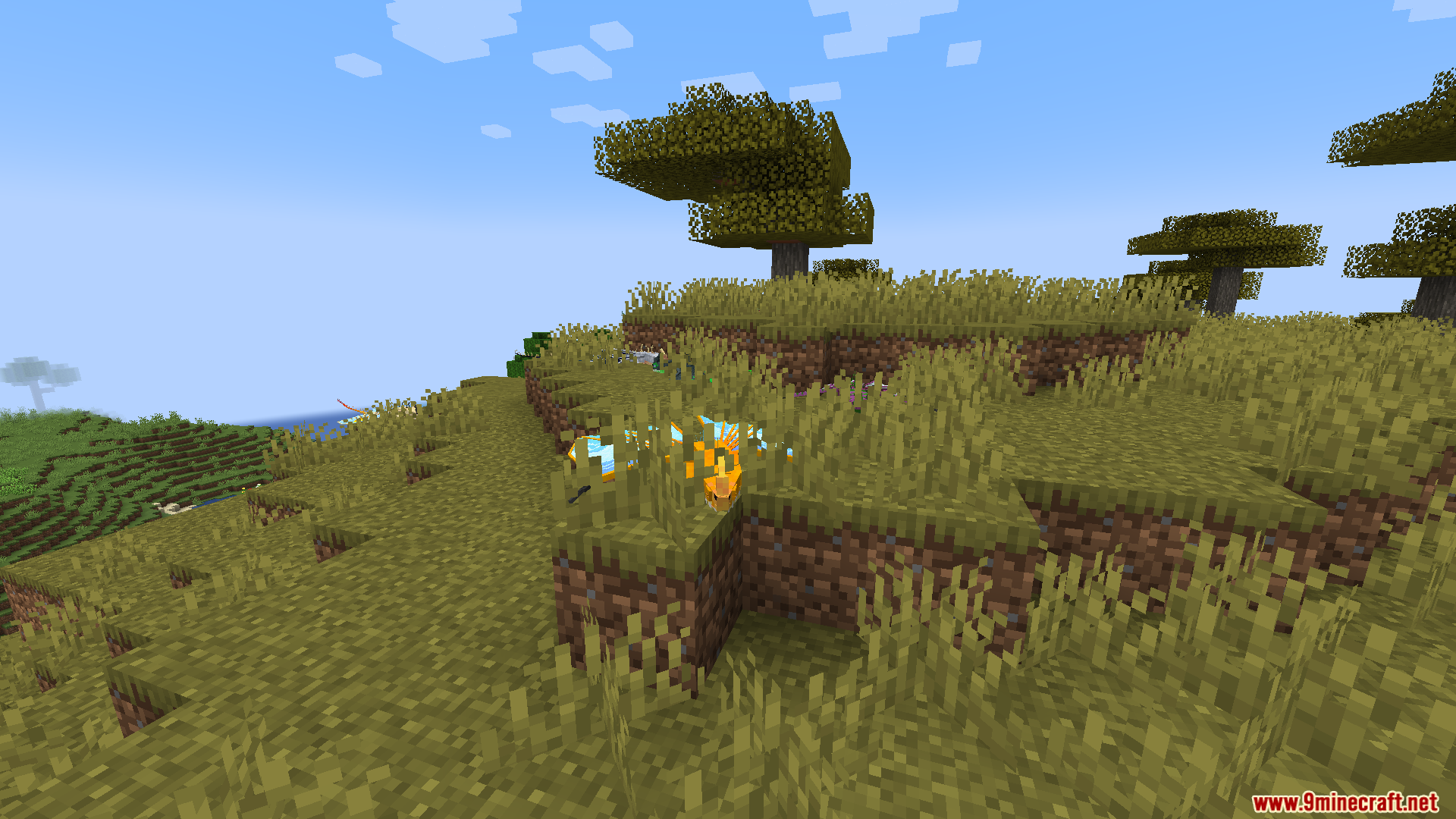 A small orange dragon variant hiding in the tall grass of a savanna