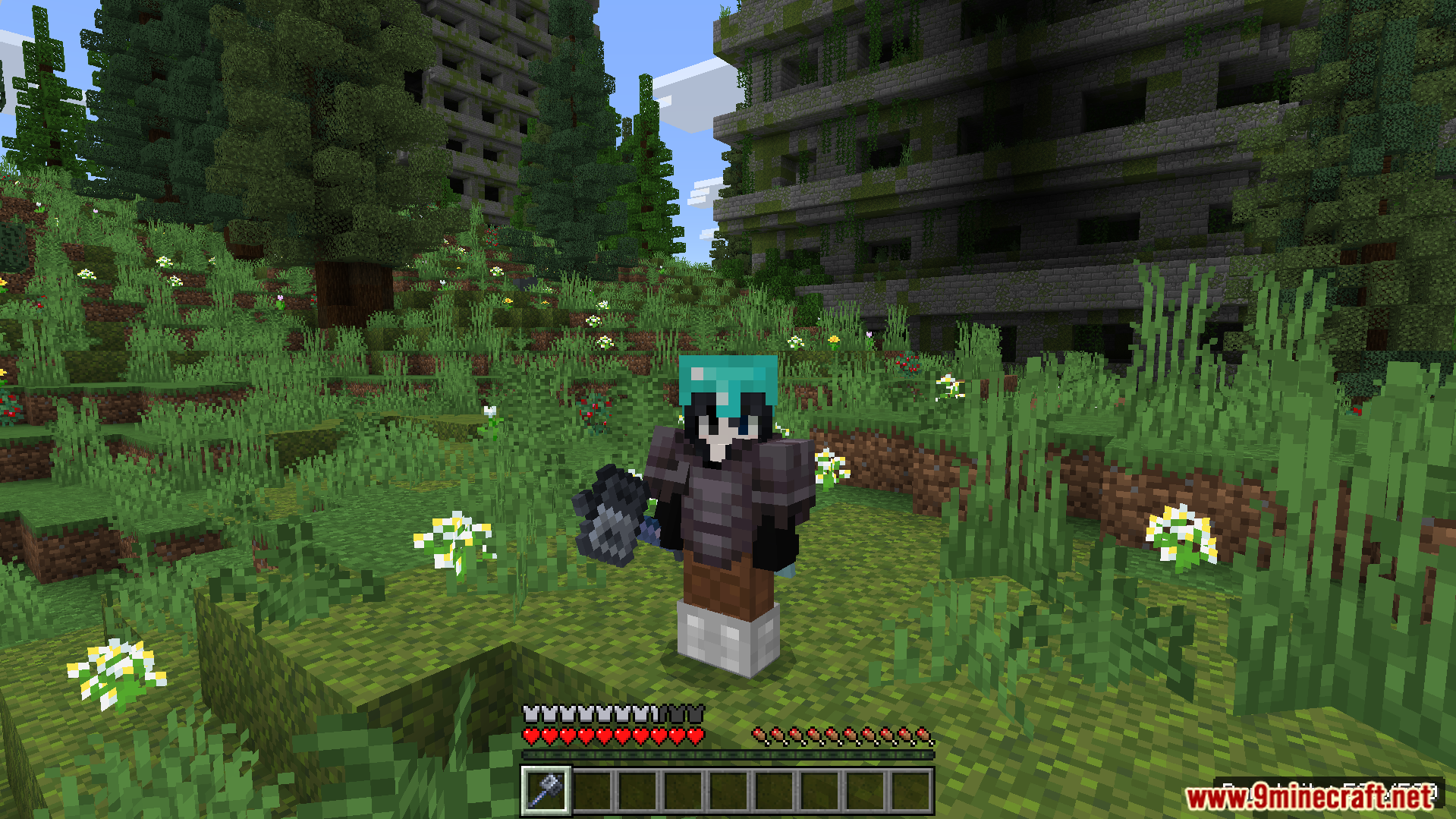 Durability Viewer Texture Pack Screenshot 1 See the exact health of your tools on your screen