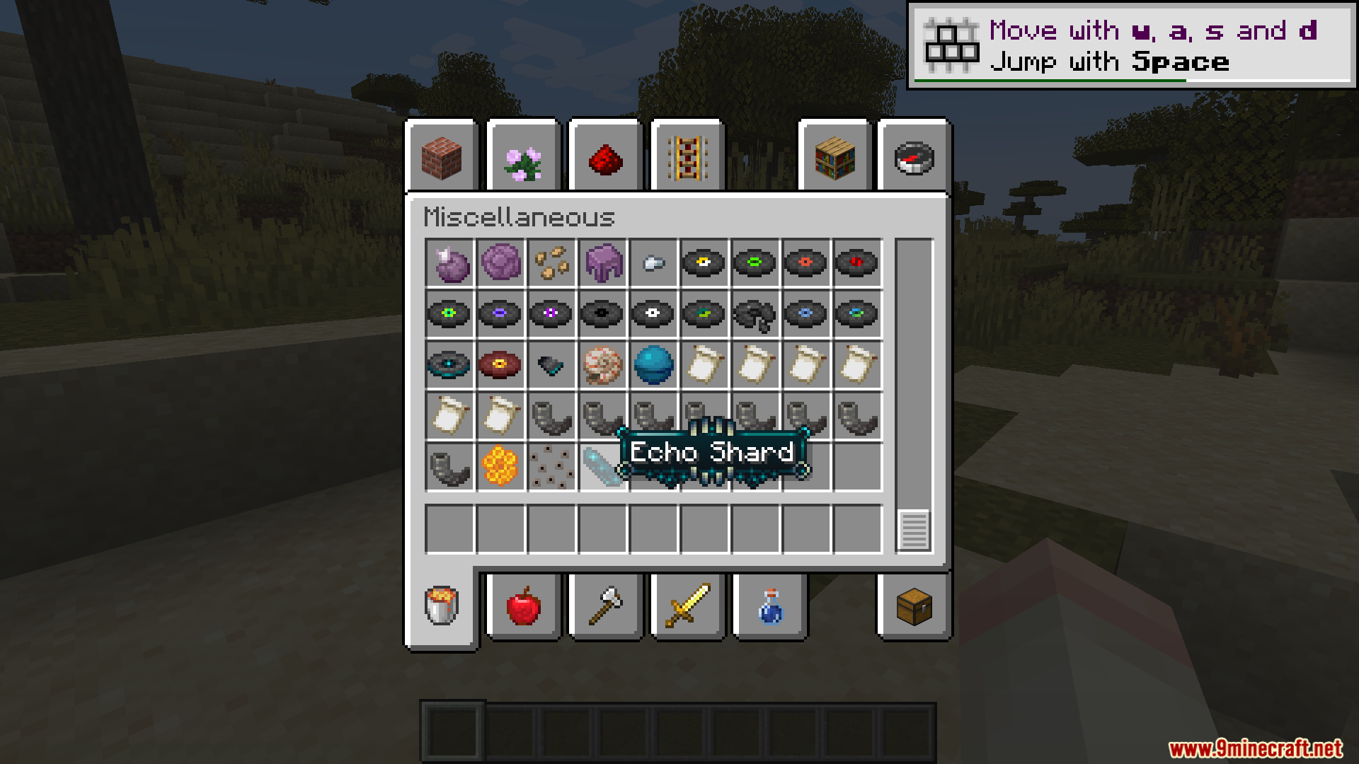 Echo Shard tooltip displaying a custom decorative border in the creative inventory