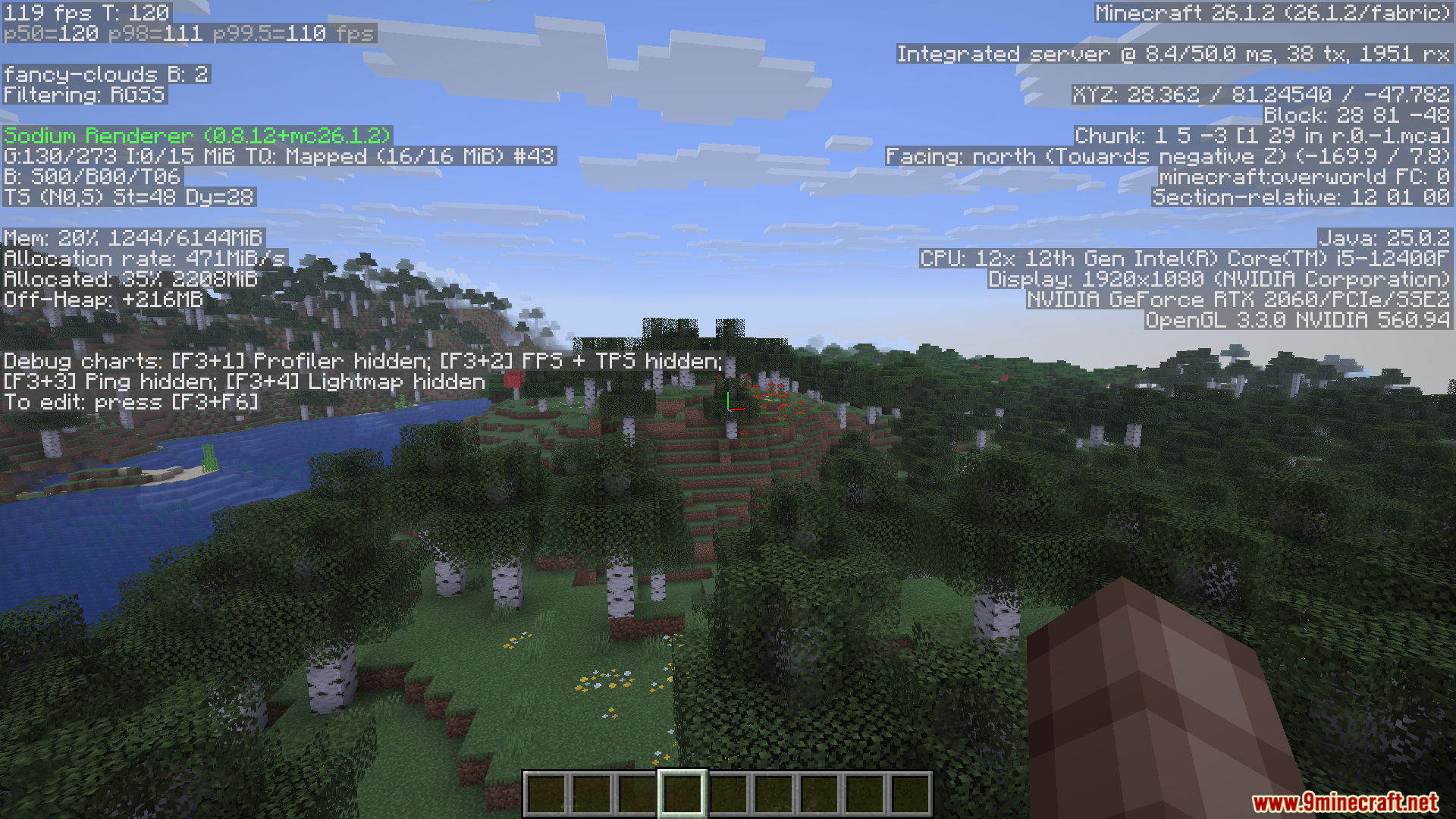 Enchanteds Sodium Options Mod Screenshot 4 Minecraft gameplay showing the debug screen with performance stats over a forest