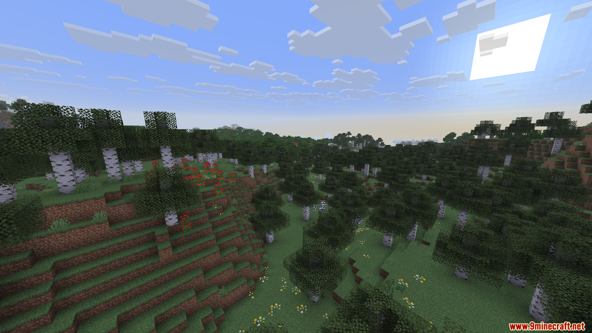 Enchanteds Sodium Options Mod Screenshot 5 A Minecraft landscape showing a birch forest biome with rolling hills and flowers