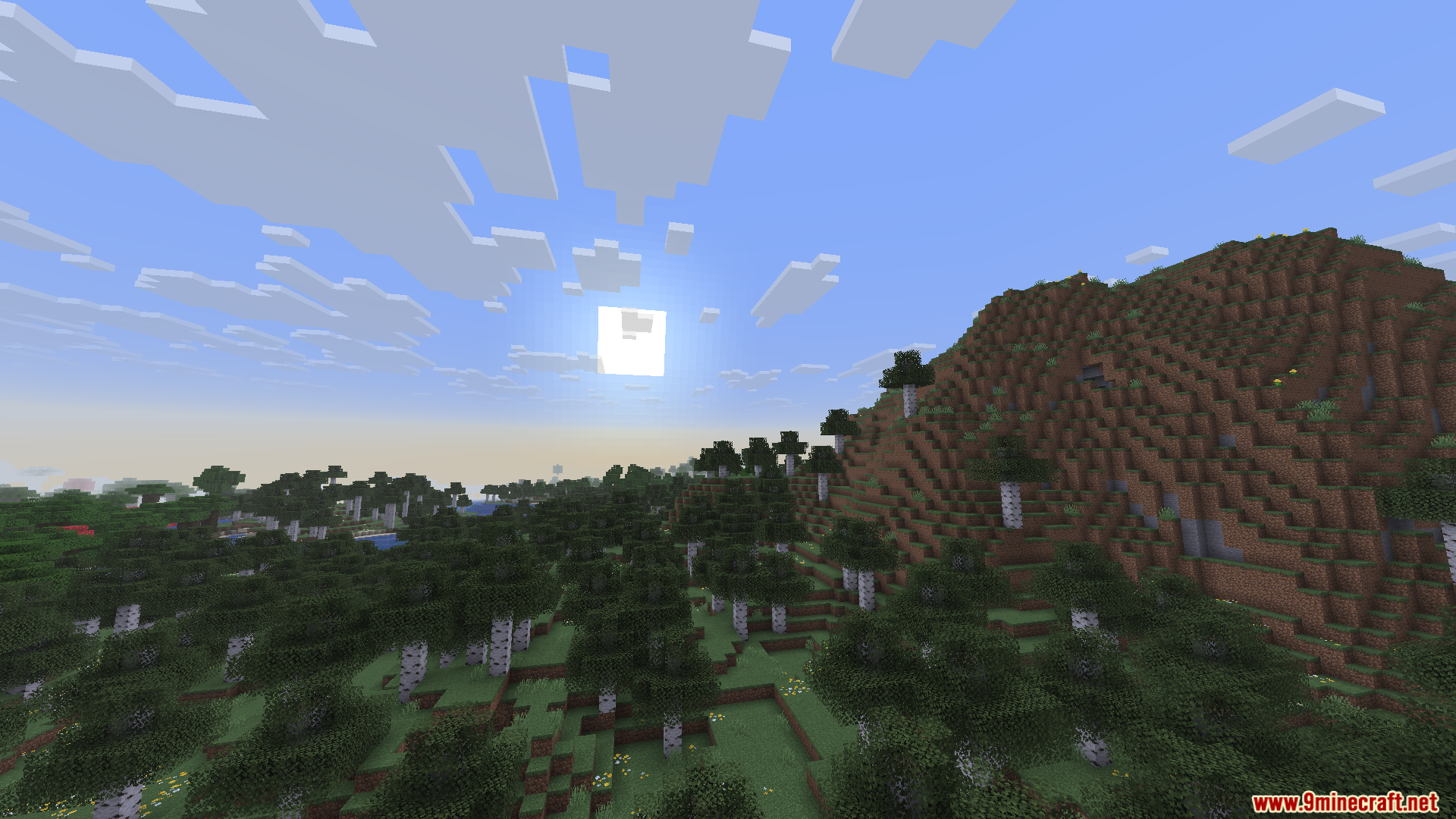Enchanteds Sodium Options Mod Screenshot 6 A view of a birch forest biome in Minecraft with a large hill