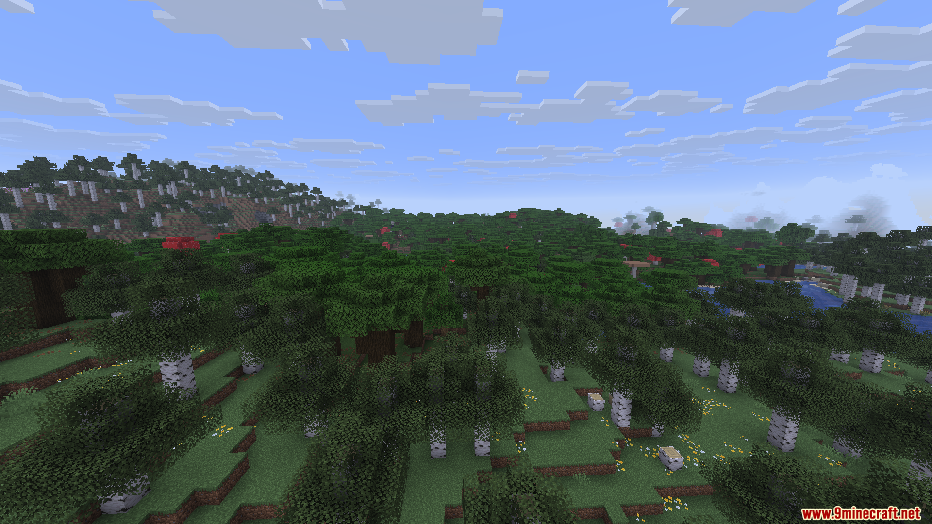 Enchanteds Sodium Options Mod Screenshot 7 A dense forest landscape with birch and oak trees under a blue sky
