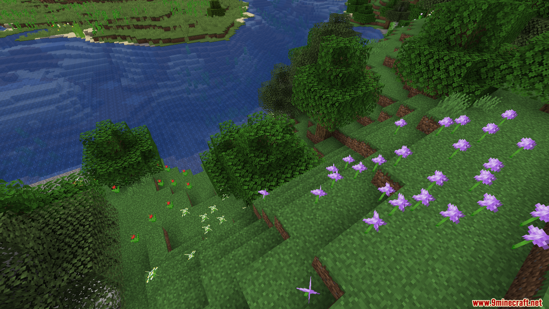 Lush green hills with purple flowers by a river