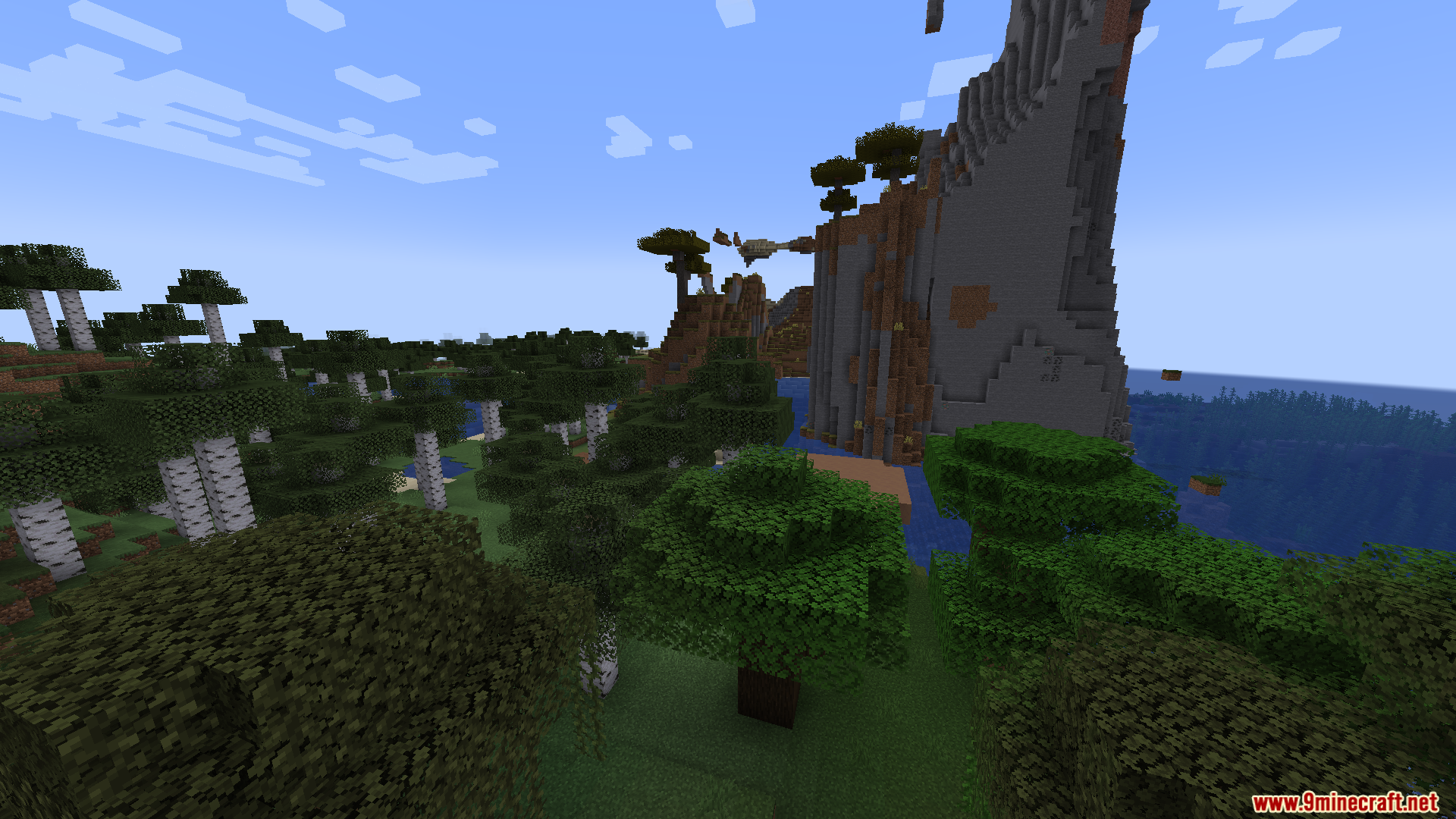 A birch forest biome next to a large cliff and water