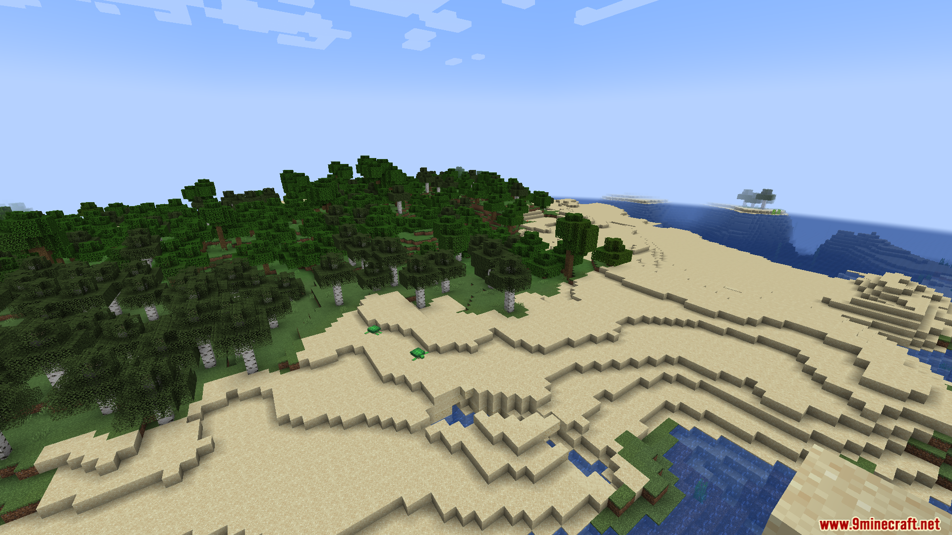 A dense forest of birch and oak trees by the sea