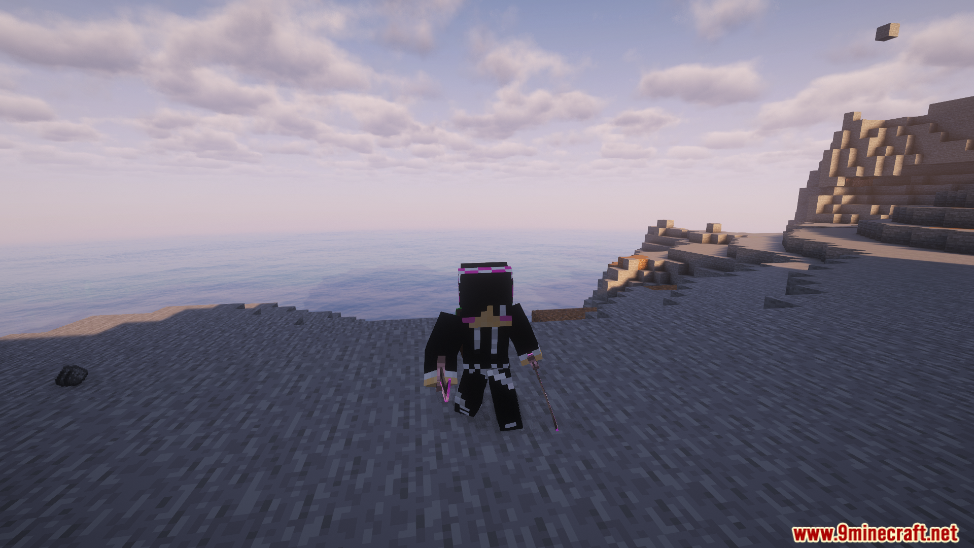 Player dual-wielding two swords on a rocky beach