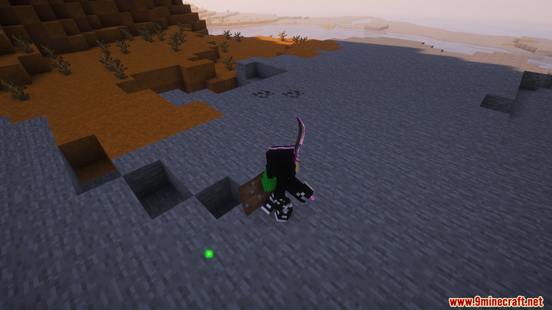 Player character blocking an attack with a shield