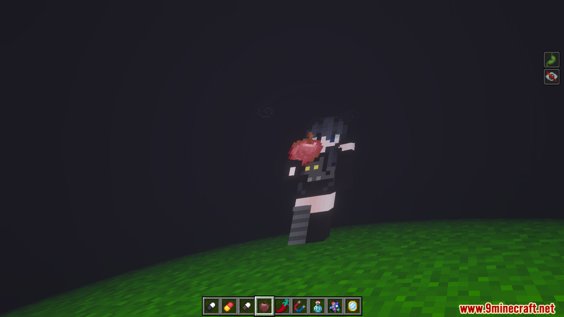 Euforias Items Addon Screenshot 10 Player character floating in dark void holding red item