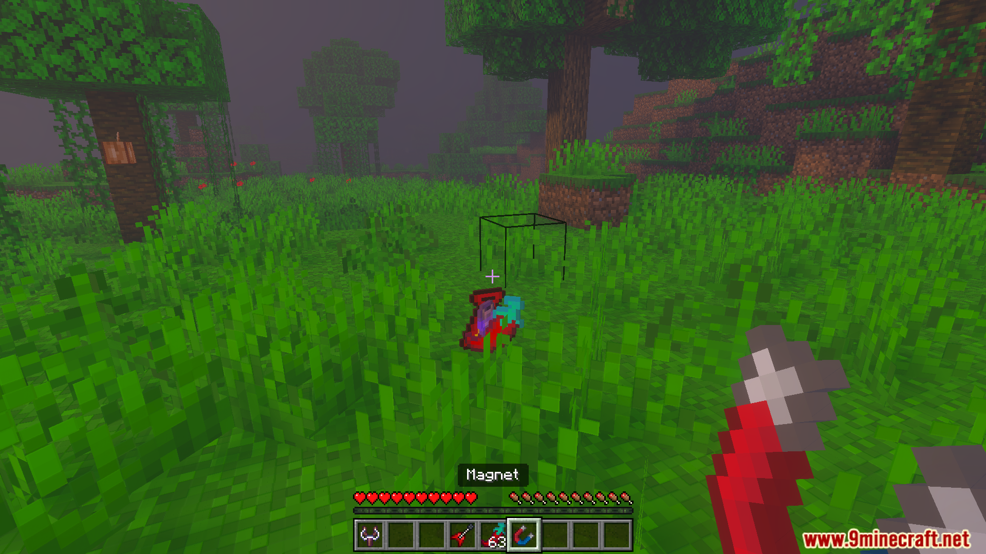 Euforias Items Addon Screenshot 3 Player holding a red magnet item in a grassy area