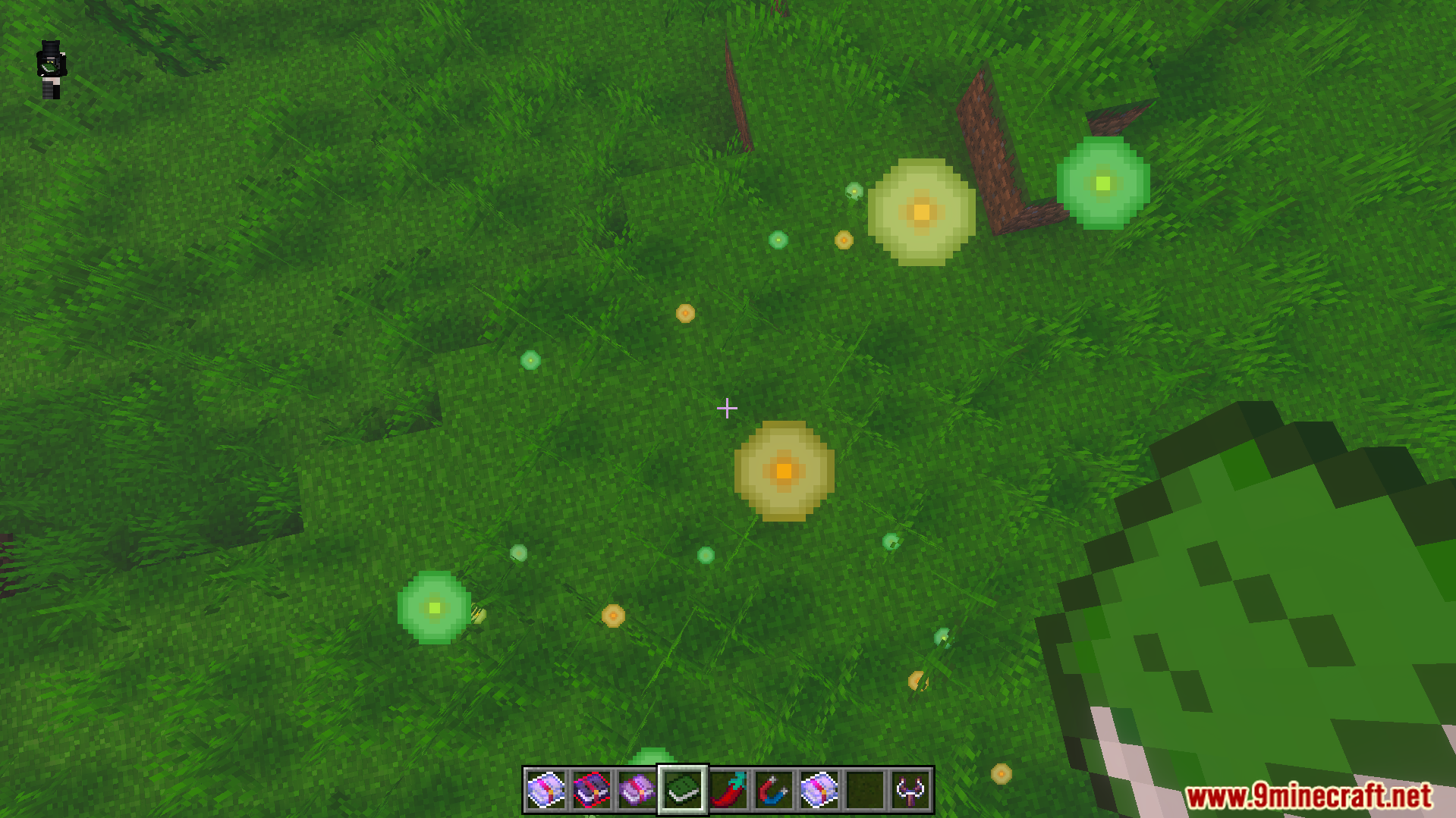 Euforias Items Addon Screenshot 4 Player looking at glowing orbs on the grass