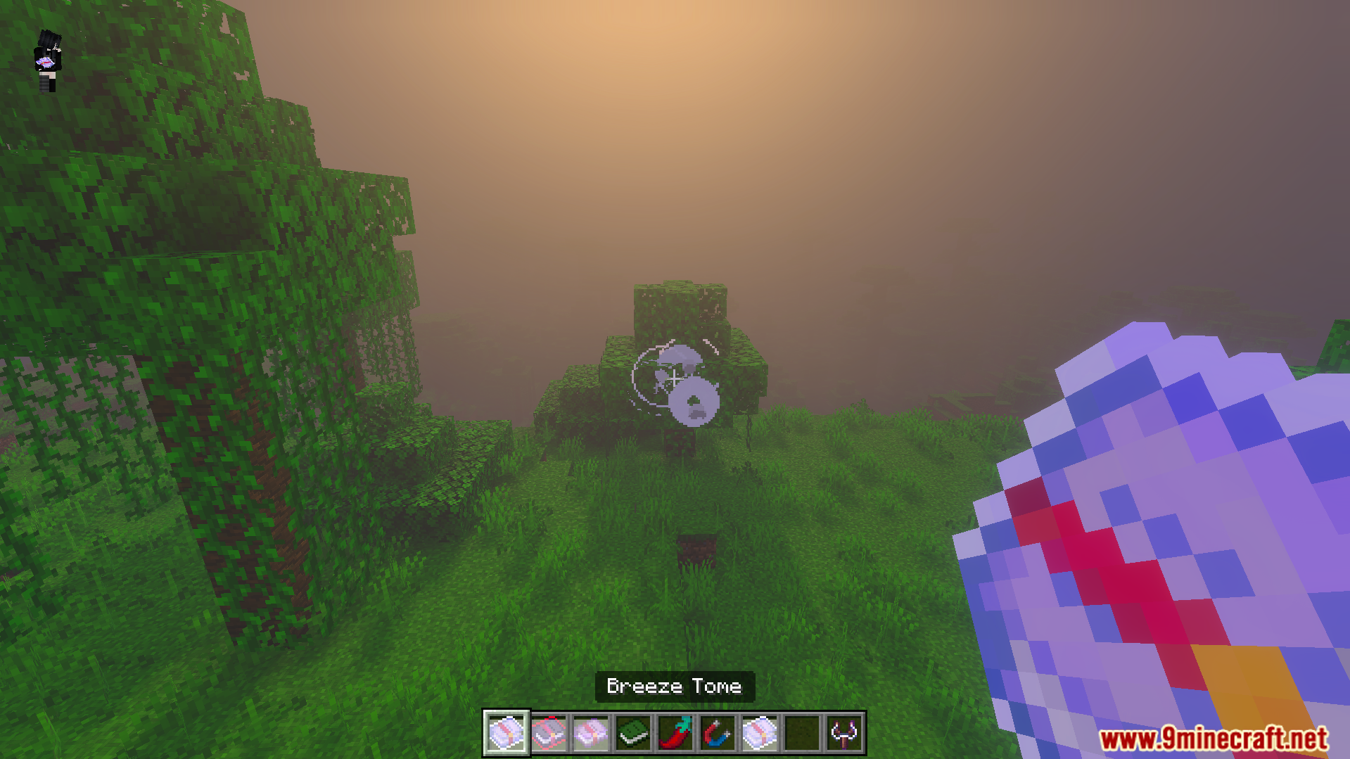 Euforias Items Addon Screenshot 5 Player holding Breeze Tome item with magic effect on tree