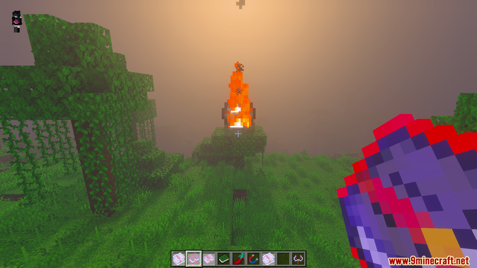 Euforias Items Addon Screenshot 6 Player holding red magic book with fire effect on tree