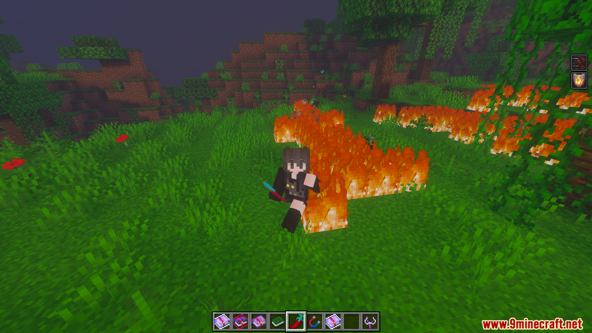 Euforias Items Addon Screenshot 8 Player using a red chili pepper item to create fire on the grass