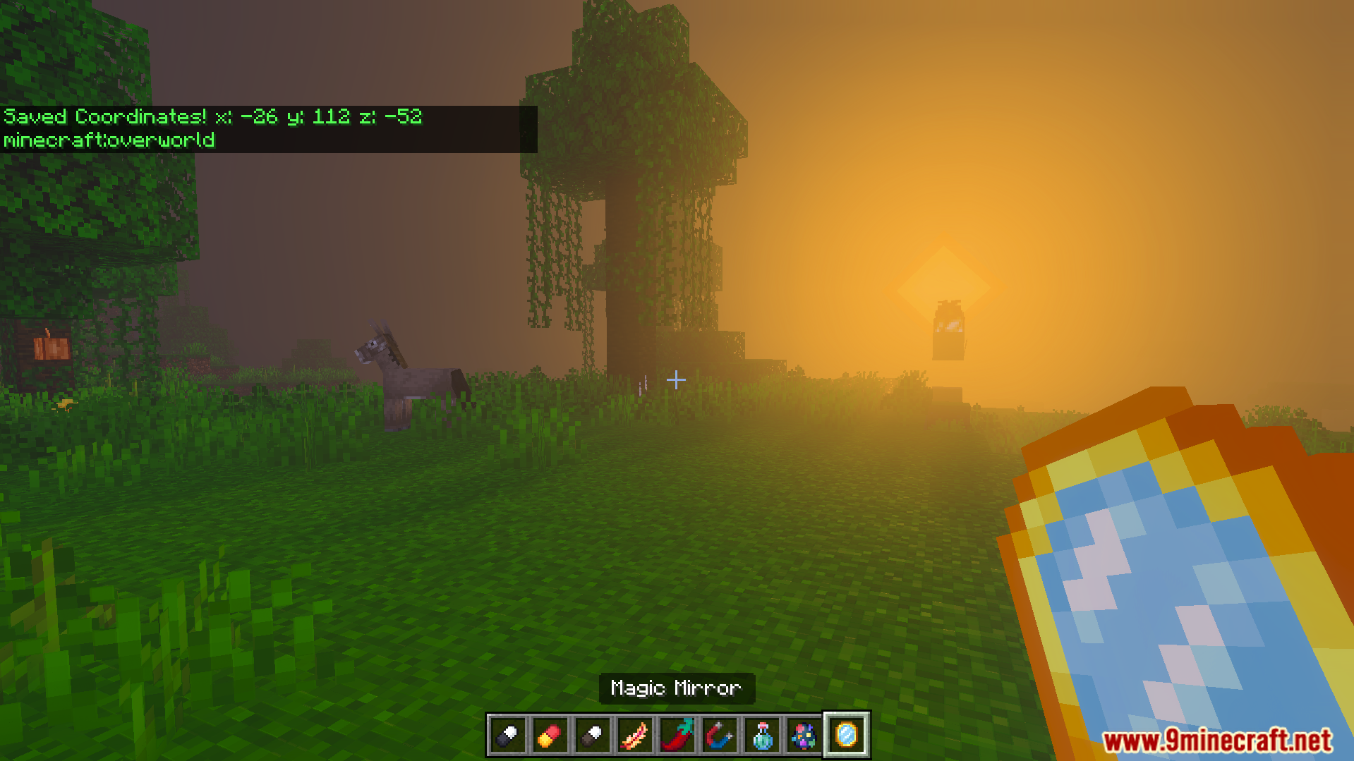 Euforias Items Addon Screenshot 9 Player holding Magic Mirror item in grassy area at sunset