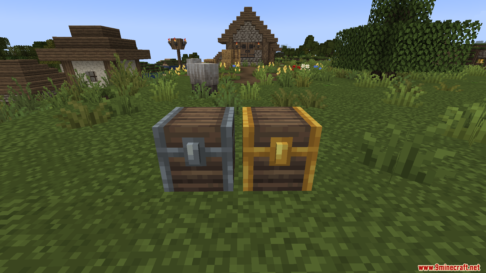 Two custom textured chests with silver and gold trim on grass