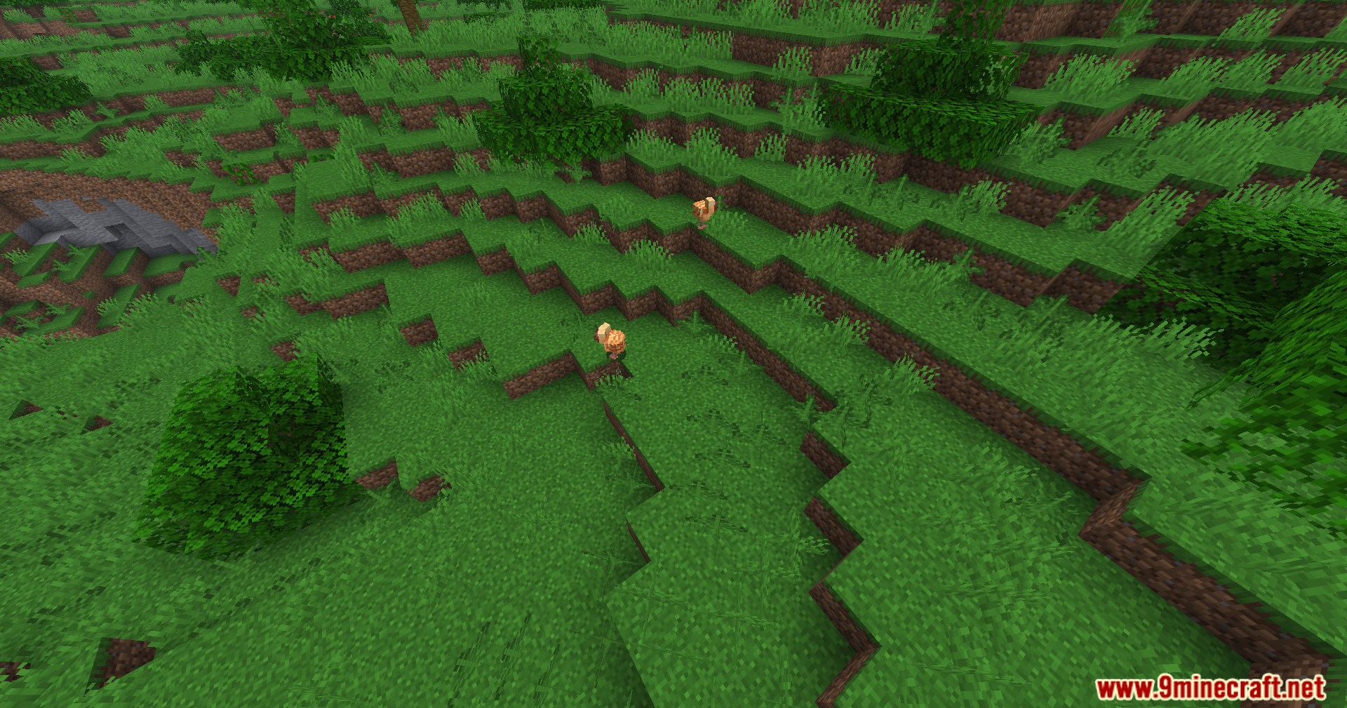 Fake Fabric Loader Mod Screenshot 8 Close up view of two chickens walking on a stepped grassy hillside terrain