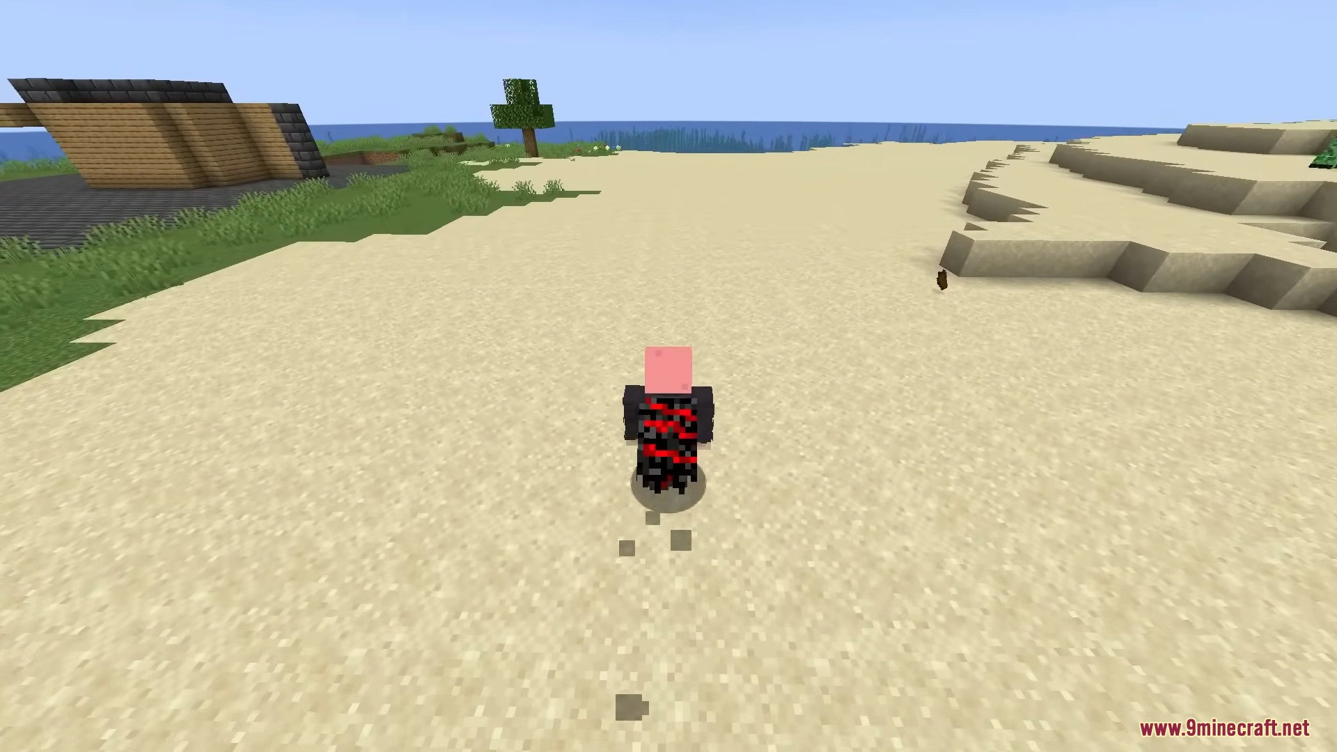 Showcasing a custom player cape equipped and visible during in-game exploration on a beach