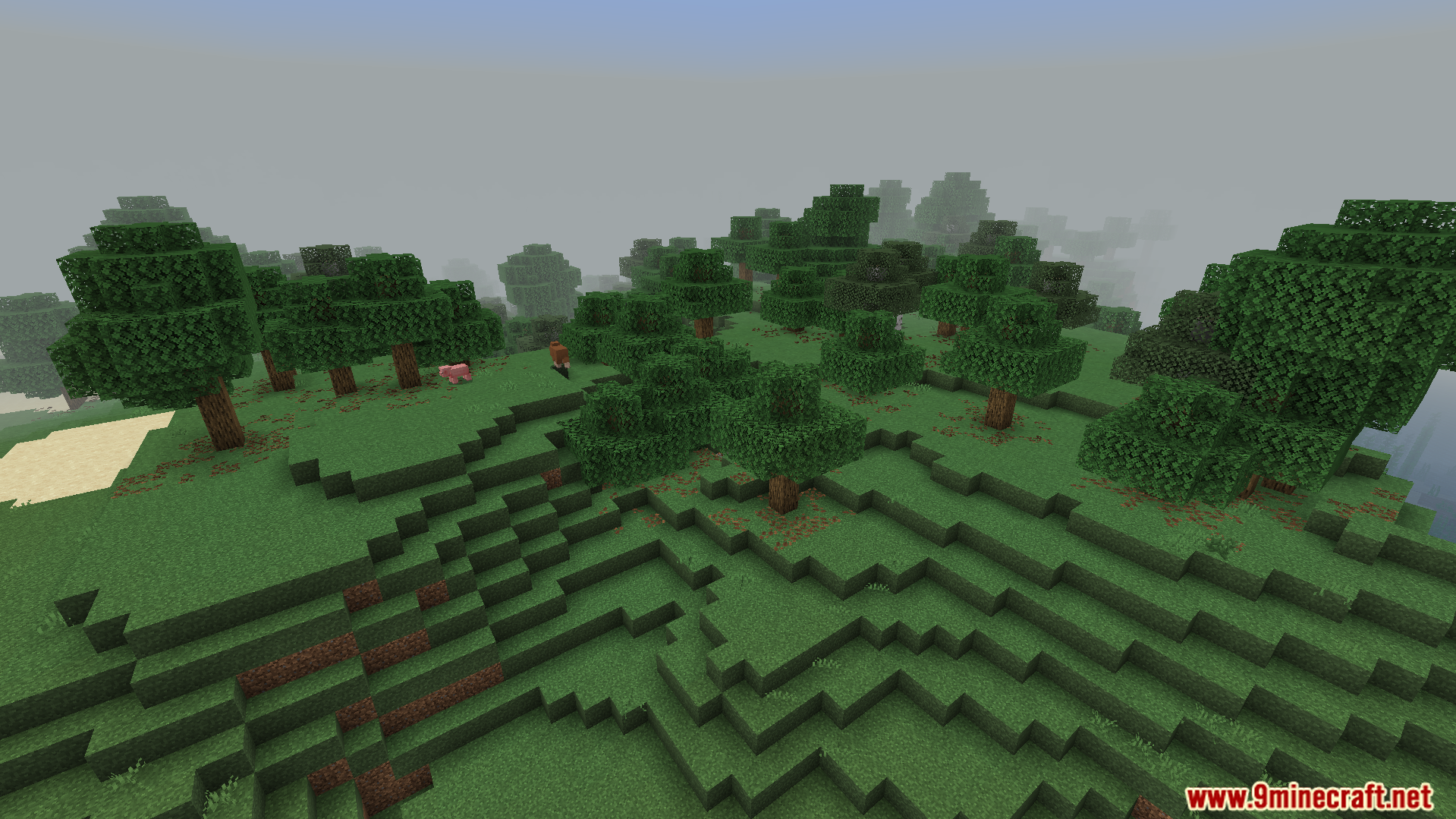 Feather FPS Boost Addon Screenshot 5 Minecraft landscape showing simplified textures and reduced particles for better performance