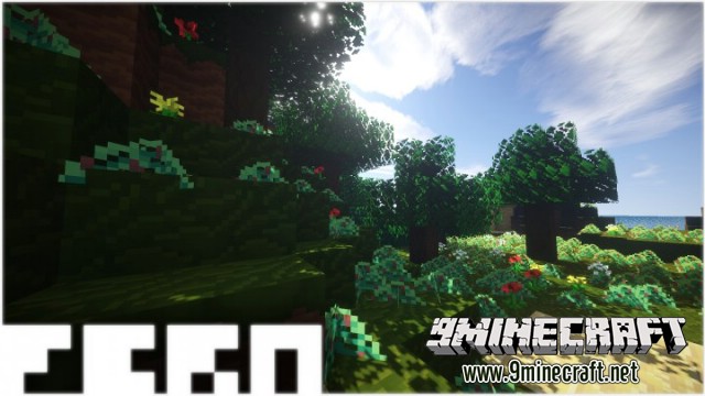 Fern-resource-pack.jpg