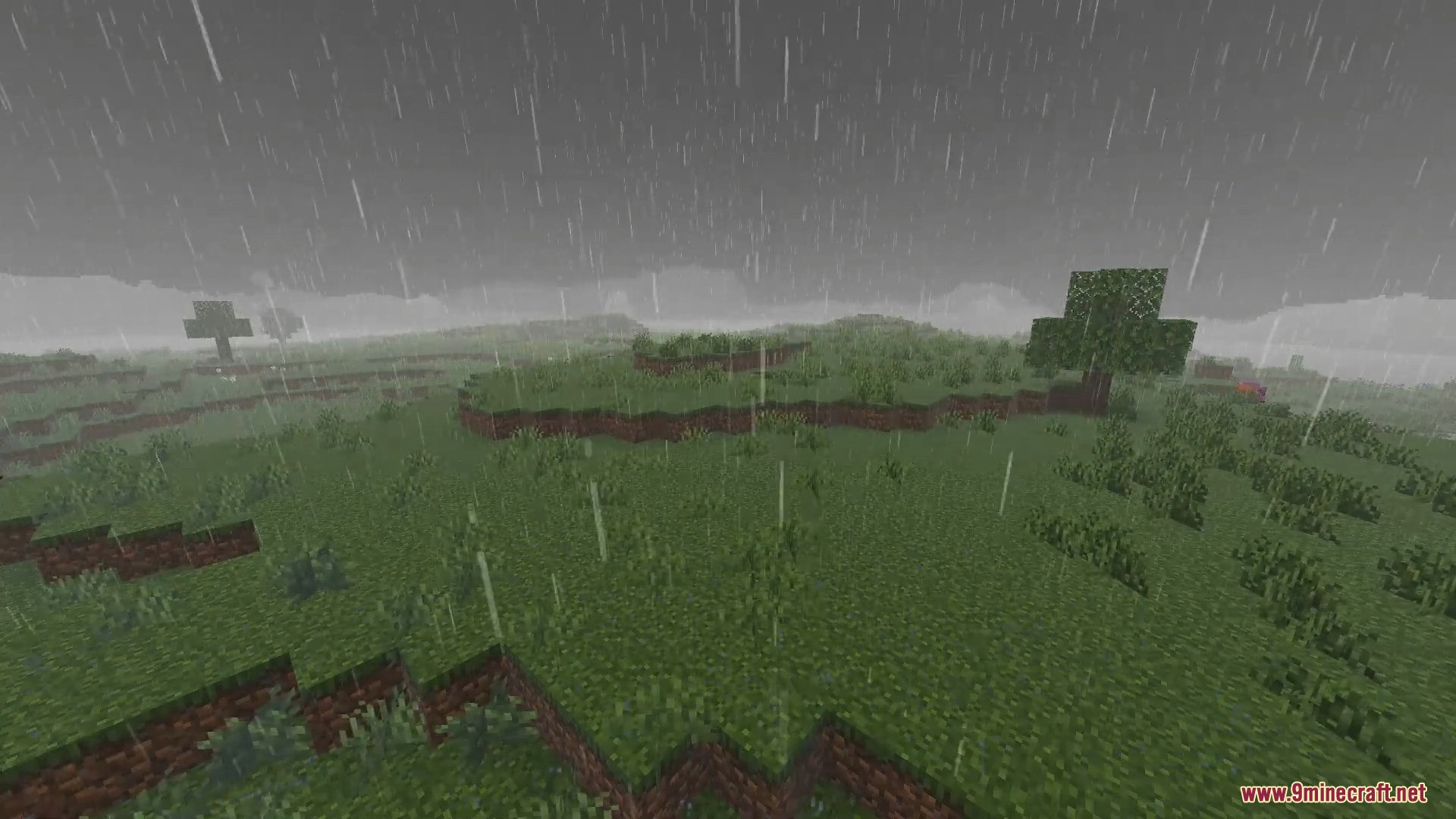 FirmamentCraft 5.0 Shader Screenshot 11 Rainy weather in a grassy Minecraft landscape with gray skies and a tree