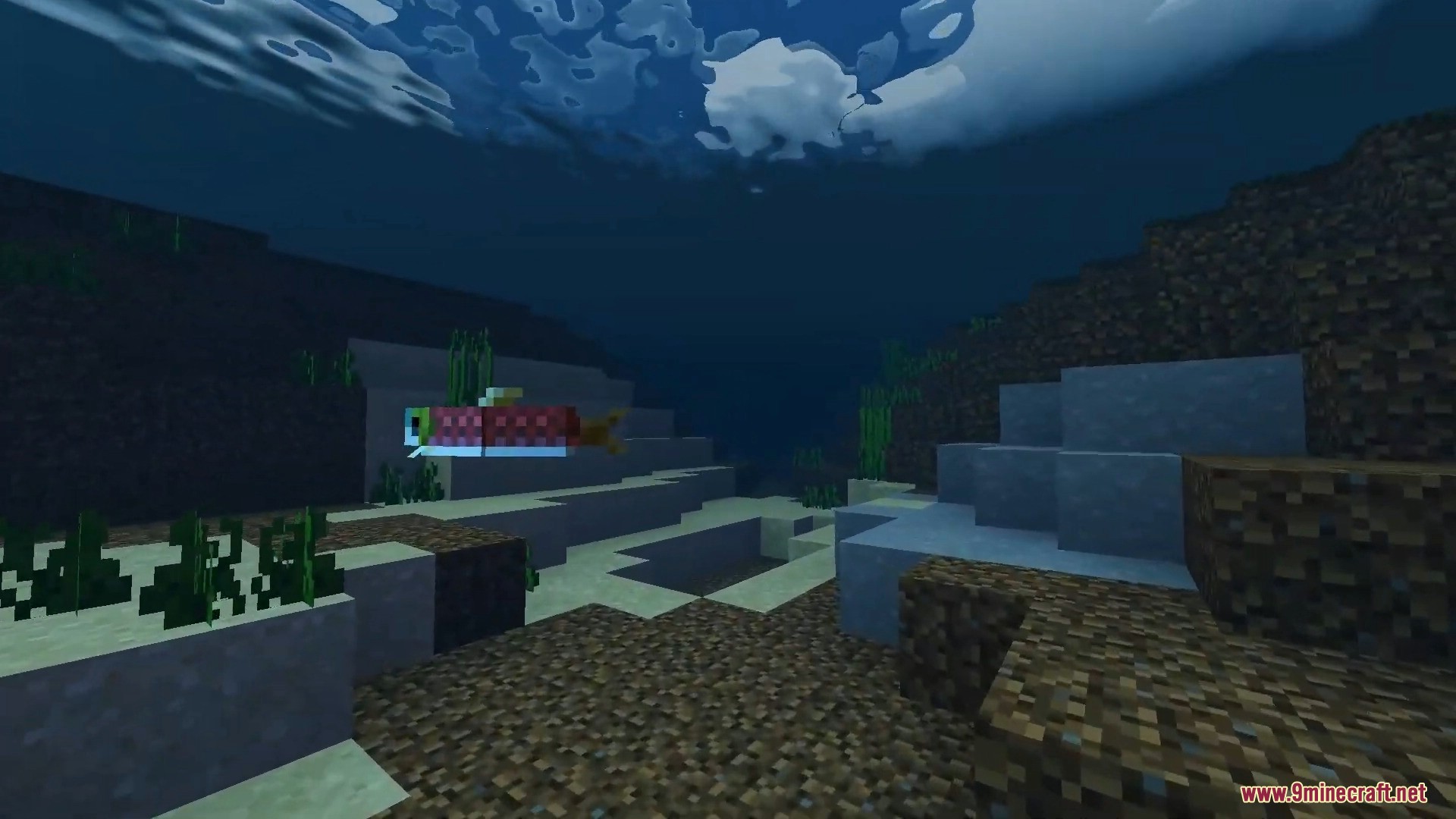 FirmamentCraft 5.0 Shader Screenshot 5 Underwater scene showing a swimming salmon and realistic water surface reflections