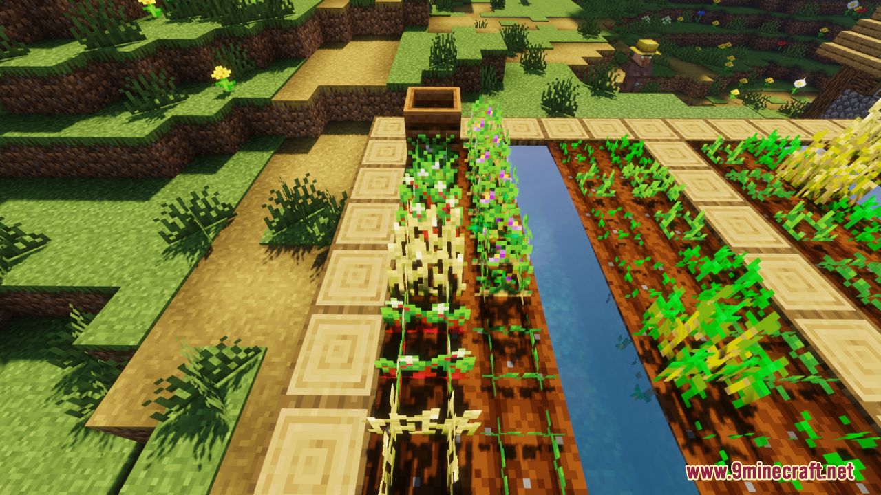 Flowering Crops Growth Marker Resource Pack Screenshot 11 Minecraft farm showing fully grown crops with small colorful flowers on top