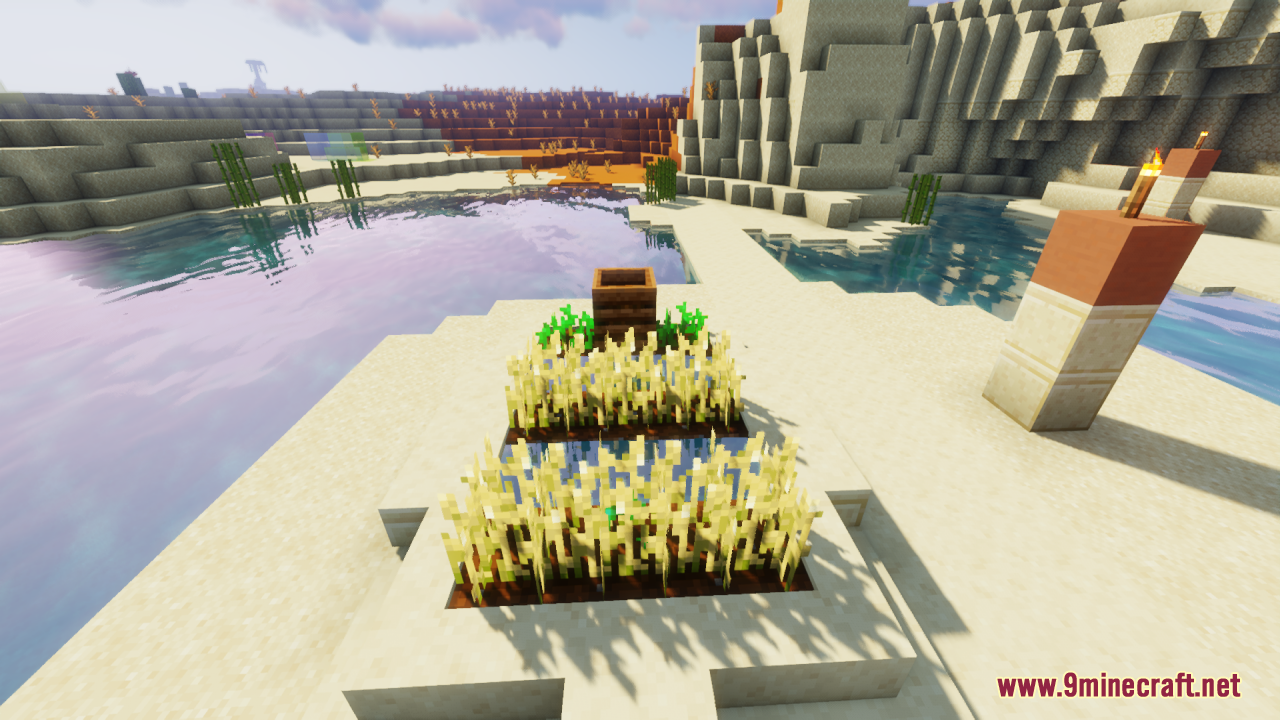Flowering Crops Growth Marker Resource Pack Screenshot 3 A small wheat farm with a composter in a desert village