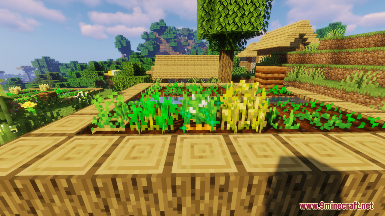 Flowering Crops Growth Marker Resource Pack Screenshot 6 Close view of mature farm plants displaying bright little flowers for easy harvesting