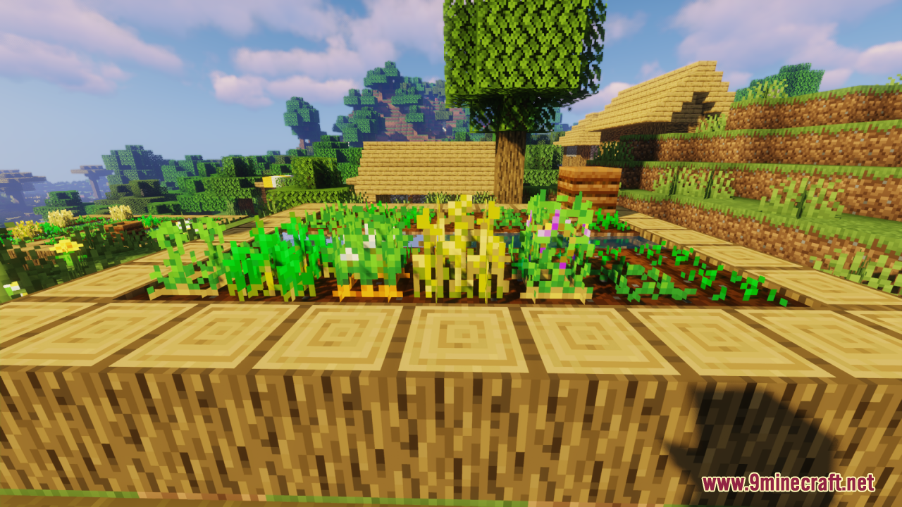 Flowering Crops Growth Marker Resource Pack Screenshot 7 Close up of a raised wooden farm bed with fully grown flowering crops