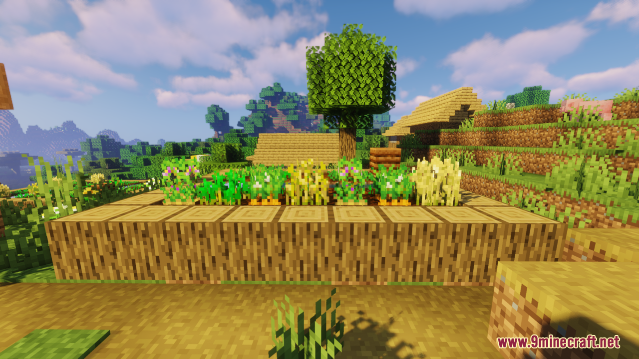 Flowering Crops Growth Marker Resource Pack Screenshot 8 Raised wooden farm bed displaying mature flowering crops near a village house