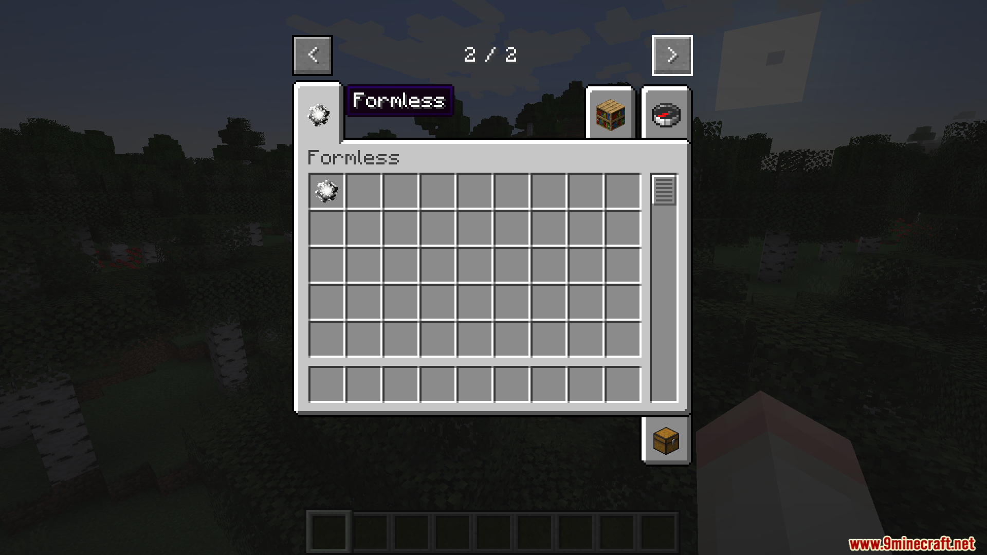 The empty inventory of the Formless accessory