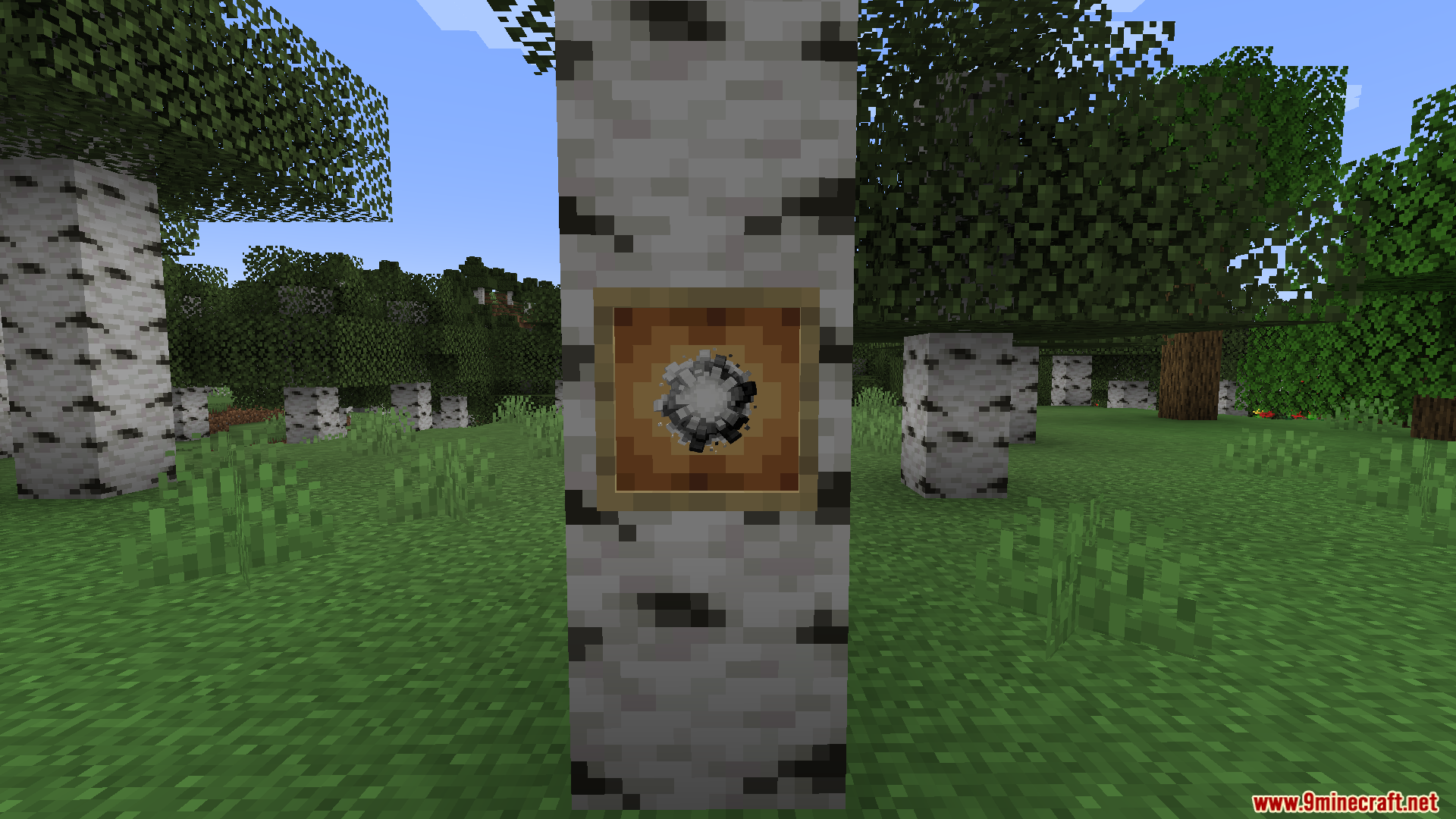 A spherical black and white item in an item frame