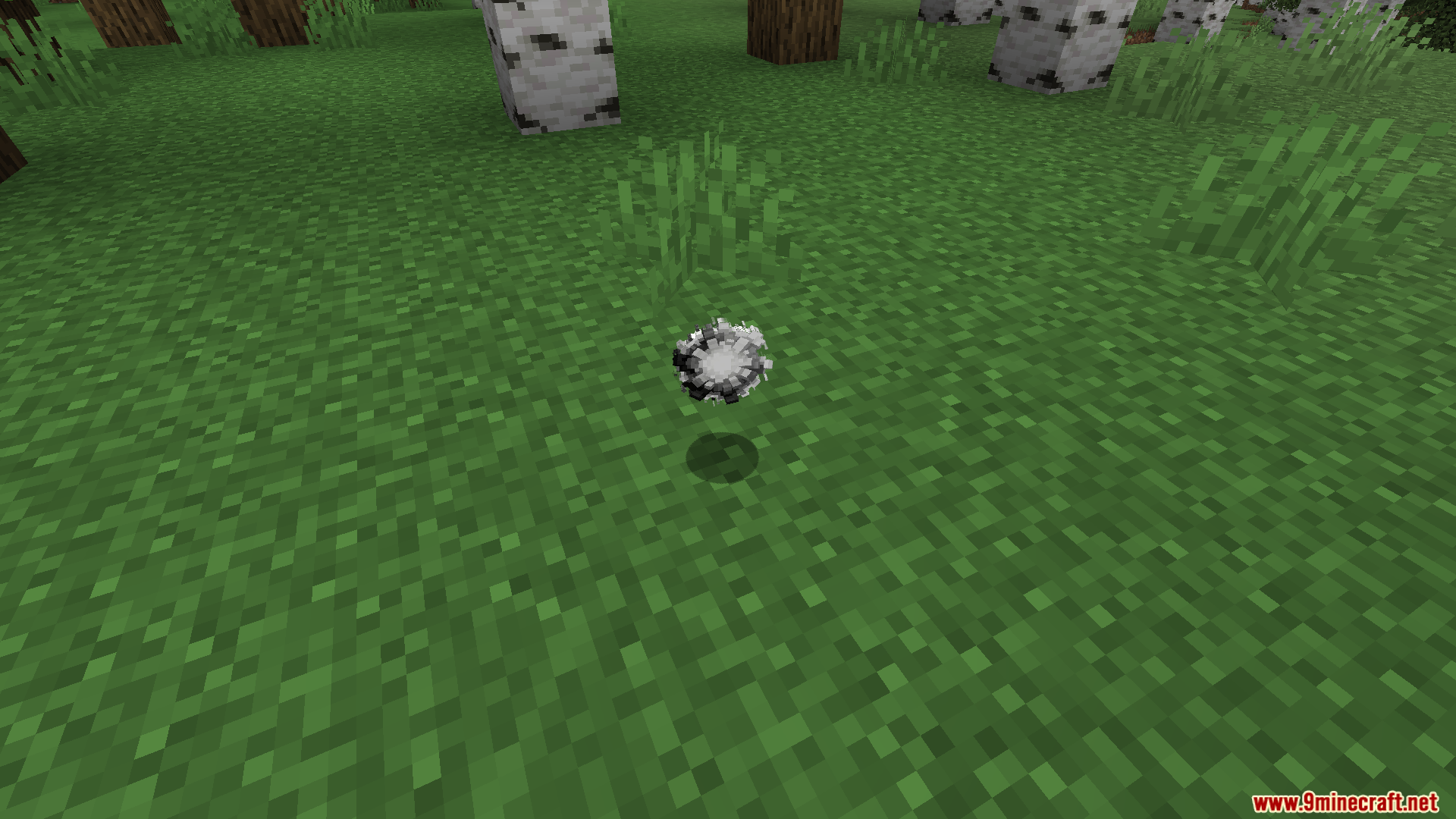 A black and white spherical item floating above the grass