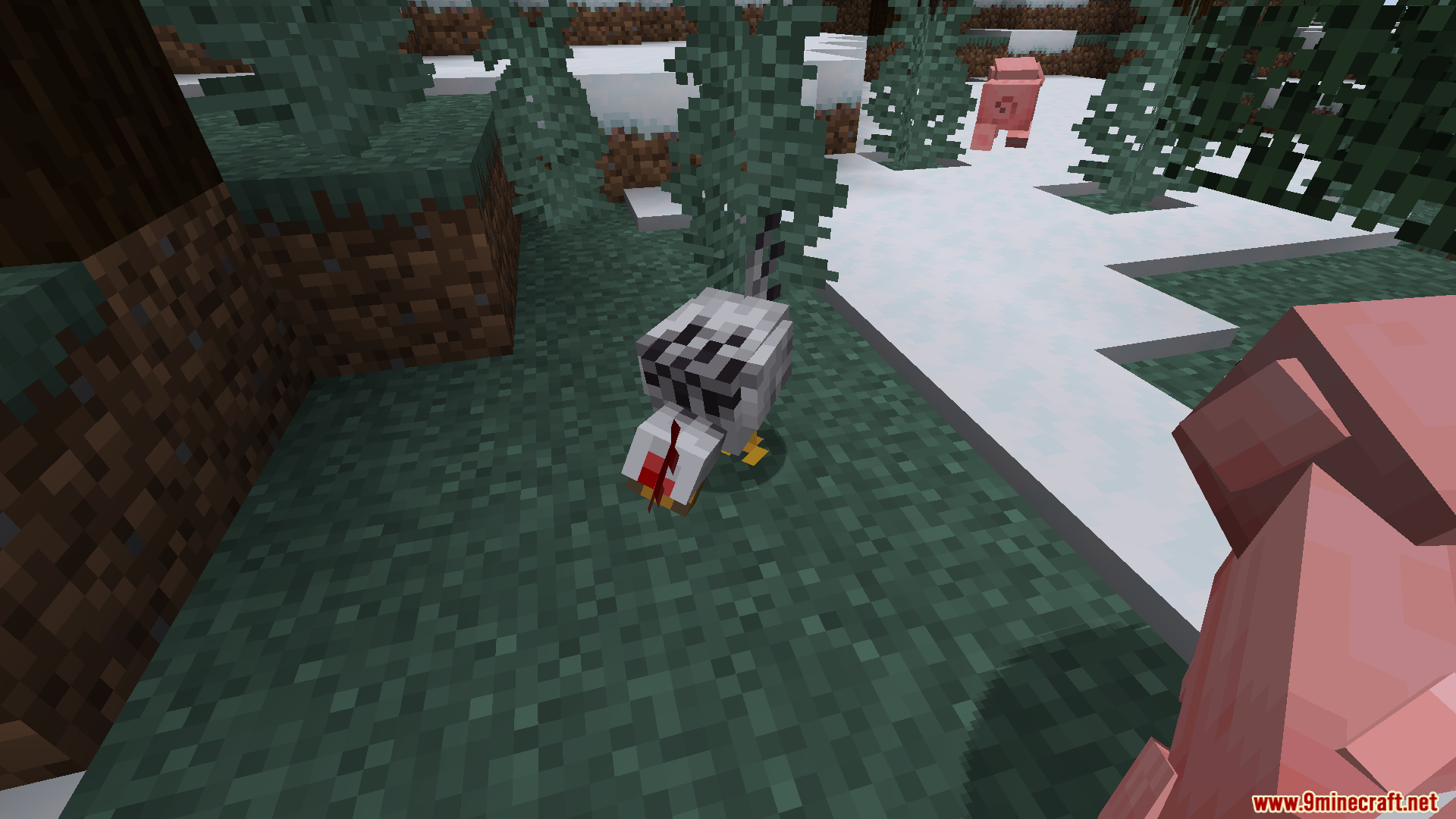 A detailed chicken model with black and white feathers