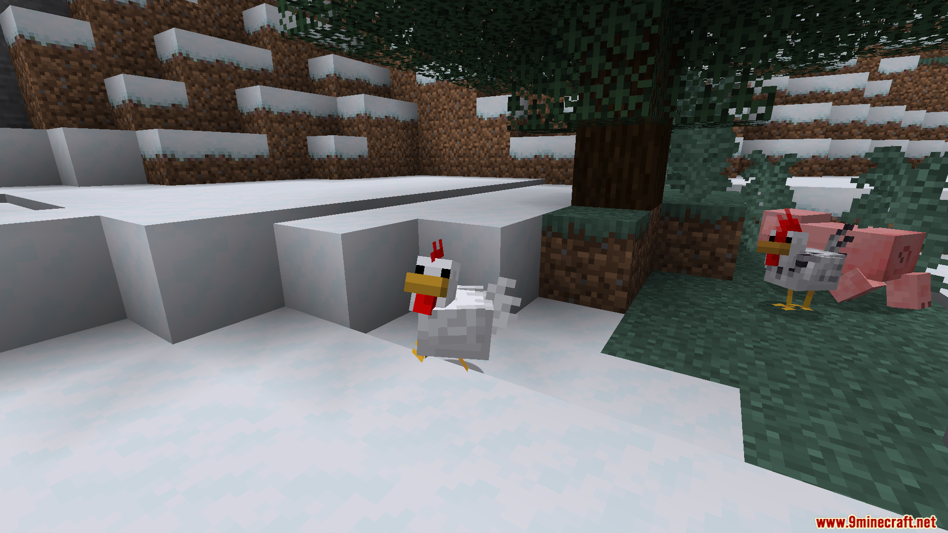 Chickens with new rooster and hen models in snow